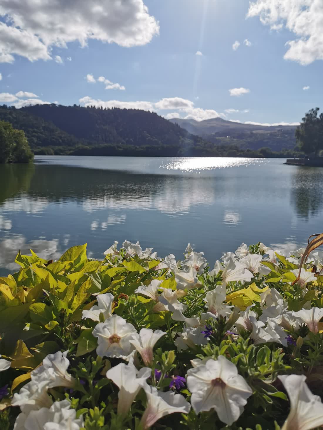 Le lac Chambon et les fleurs en été