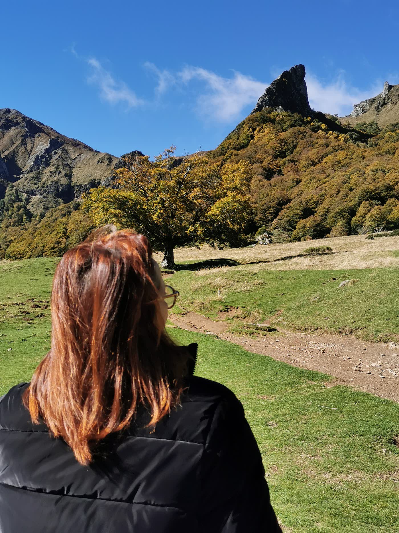 Contemplation face aux montagnes du Sancy en automne